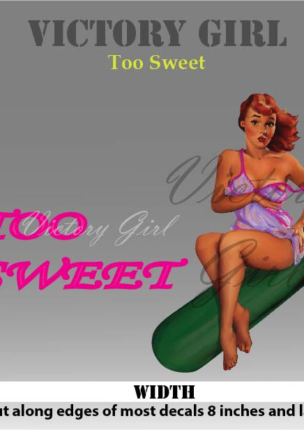 Too Sweet Vinyl Decal Sticker