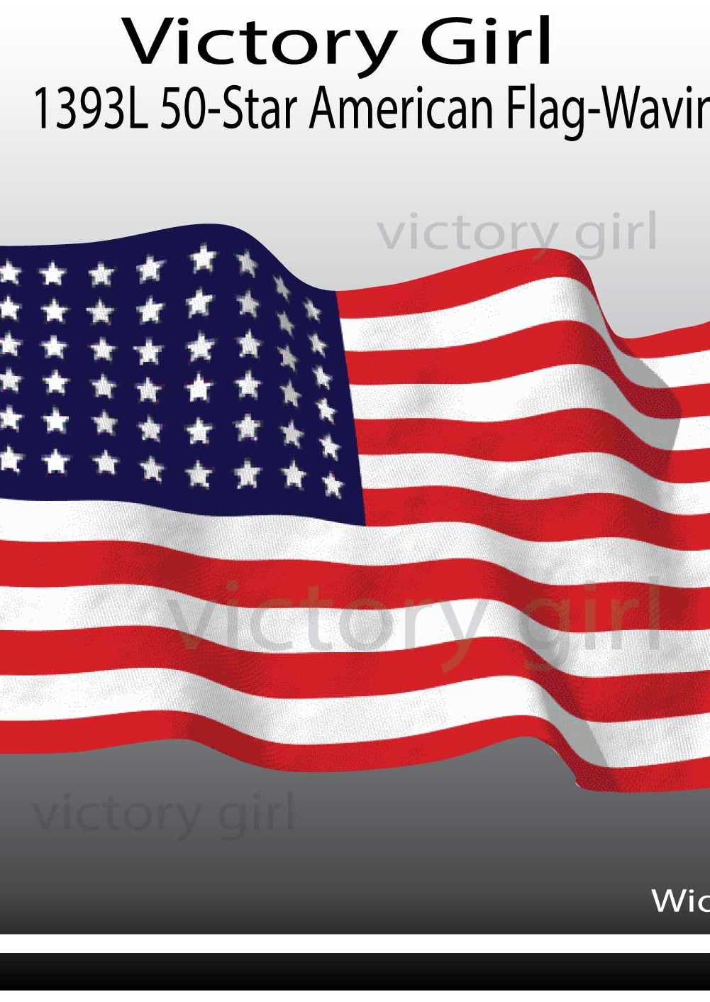 48 Star American Flag-Waving Vinyl Decal Sticker