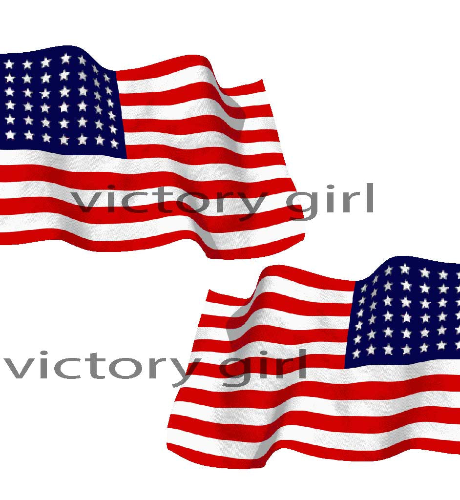48 Star American Flag-Waving Vinyl Decal Sticker