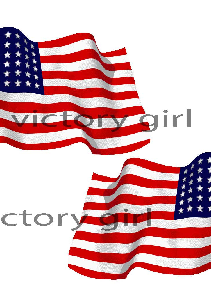 48 Star American Flag-Waving Vinyl Decal Sticker