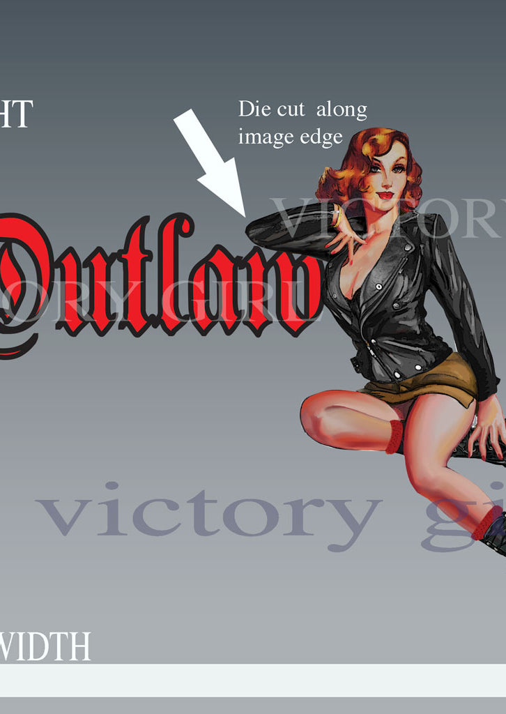 Outlaw Vinyl Decal Sticker