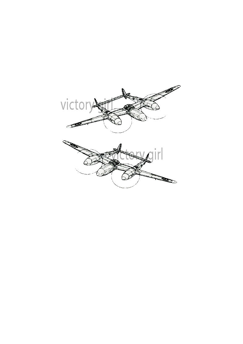P-38 Vinyl Decal Sticker