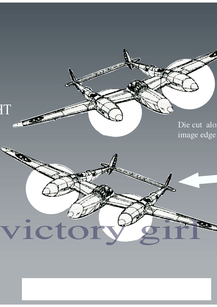 P-38 Vinyl Decal Sticker