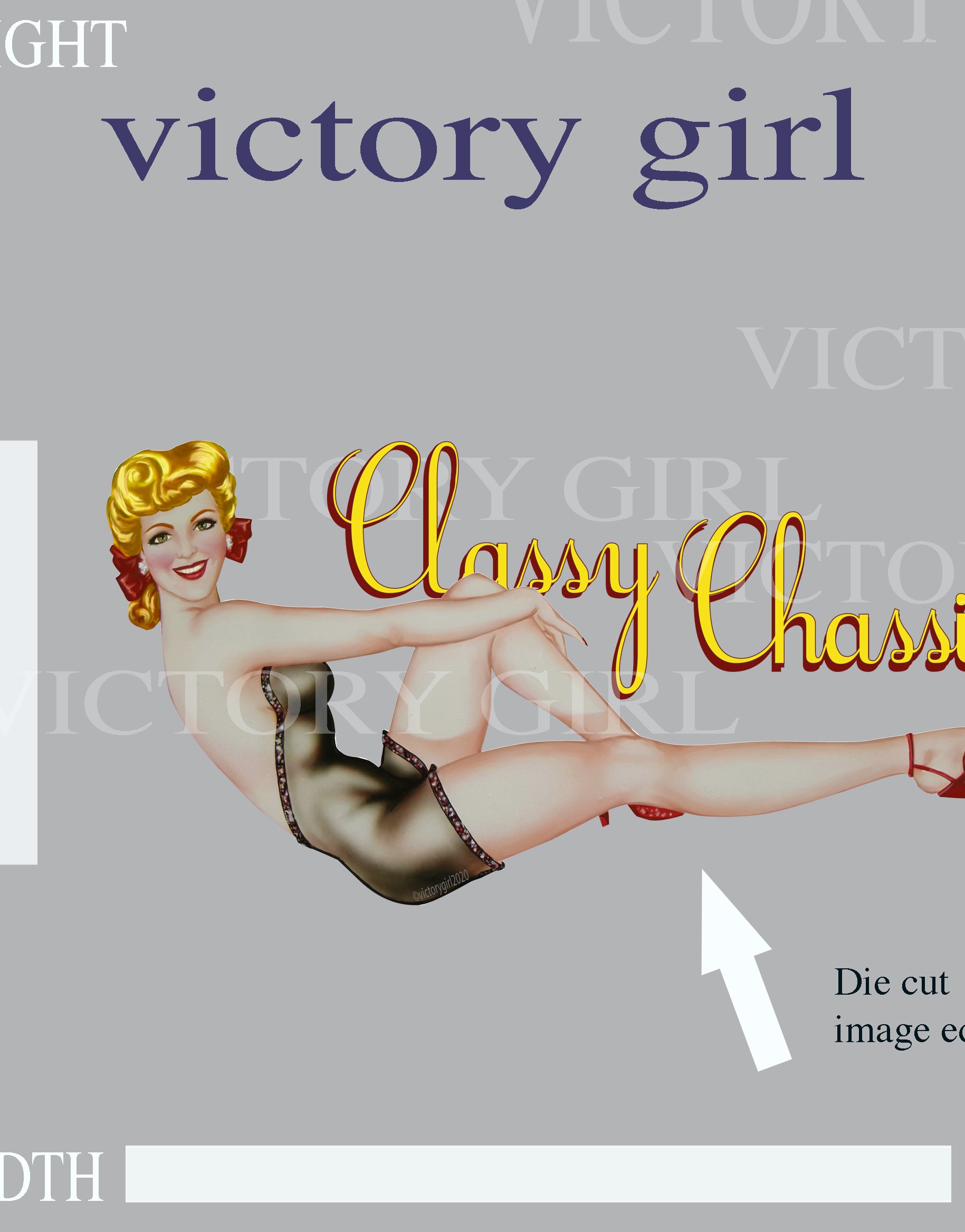 Classy Chassis LR Vinyl Decal Sticker