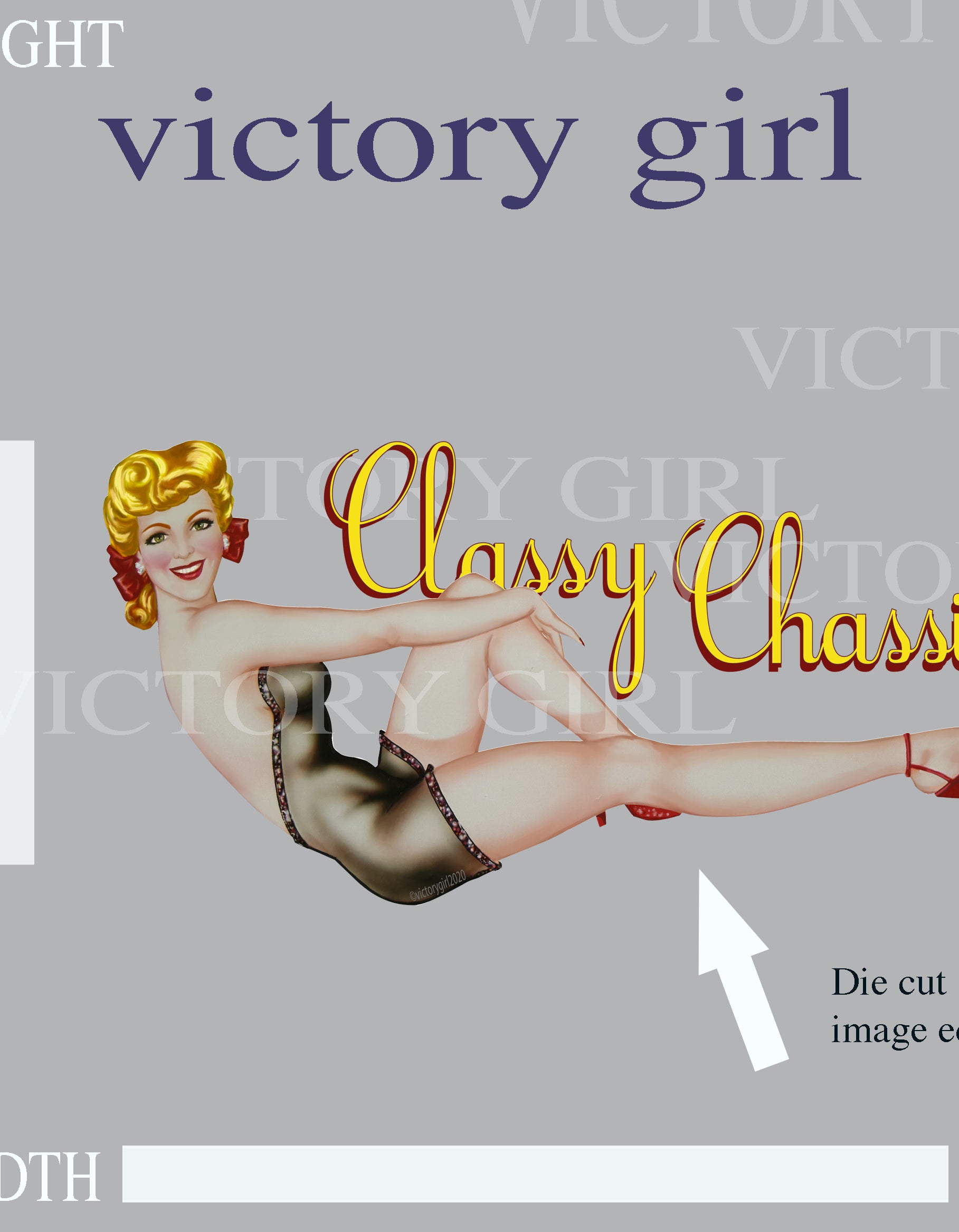 Classy Chassis LR Vinyl Decal Sticker