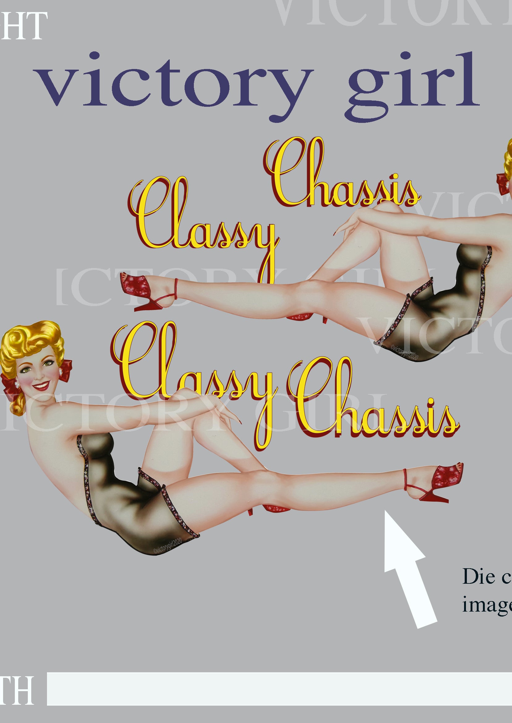 Classy Chassis LR Vinyl Decal Sticker