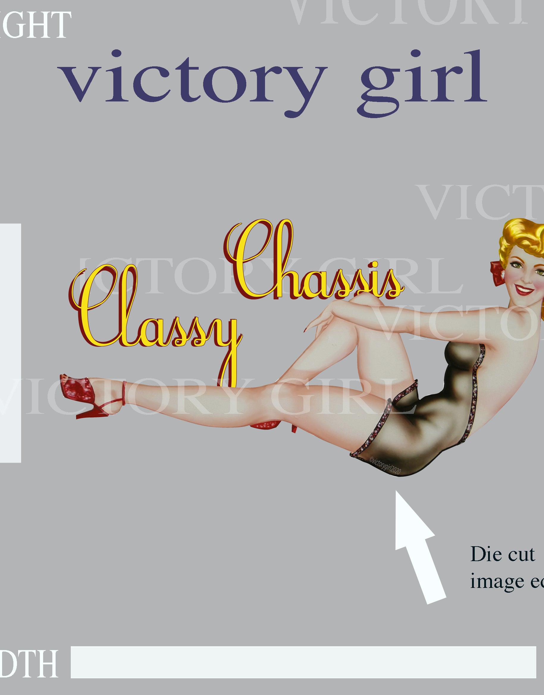 Classy Chassis LR Vinyl Decal Sticker