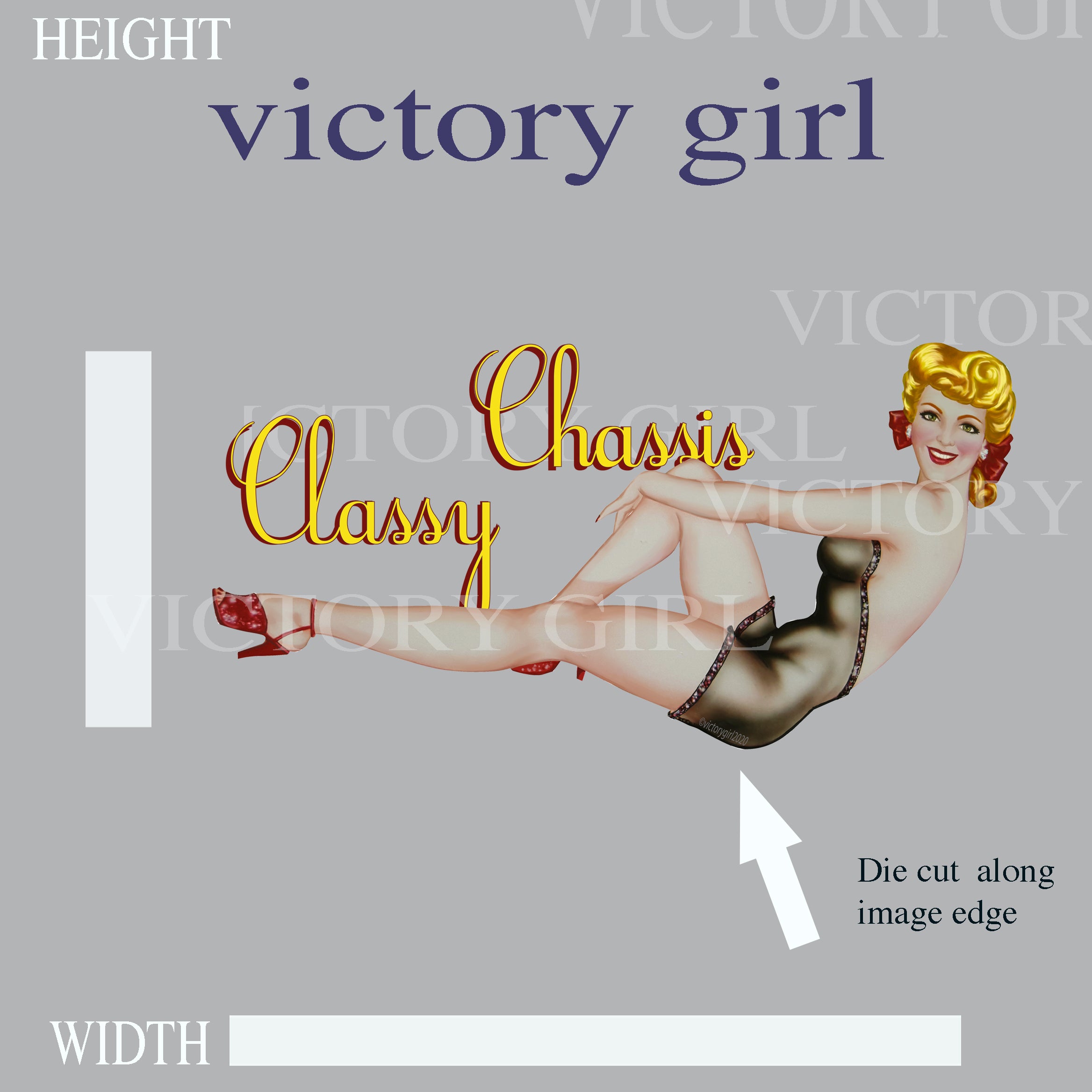 Classy Chassis LR Vinyl Decal Sticker