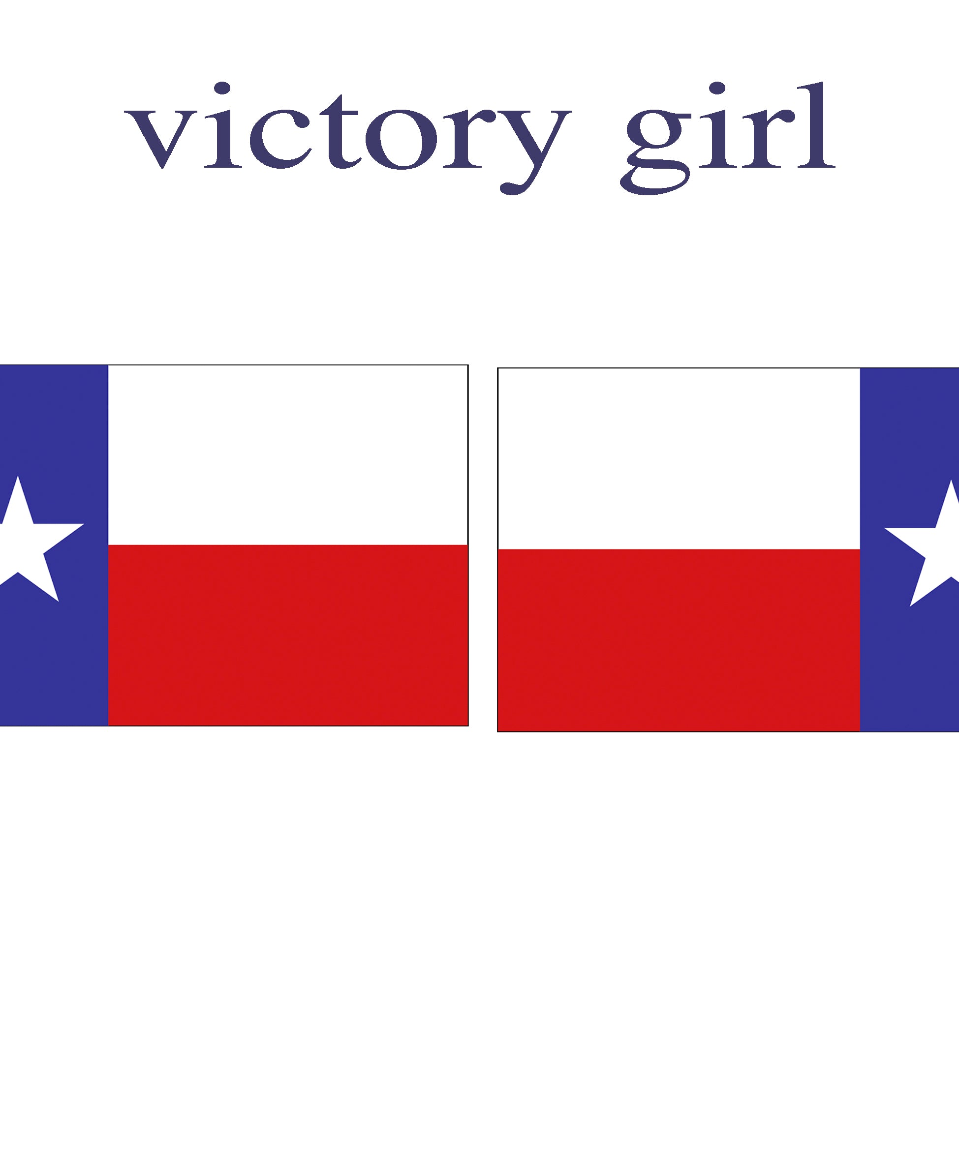 Texas State Flag Vinyl Decal Sticker