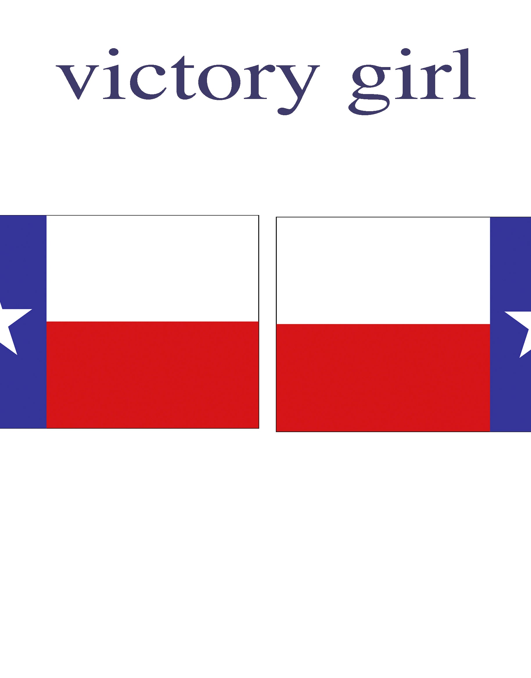 Texas State Flag Vinyl Decal Sticker