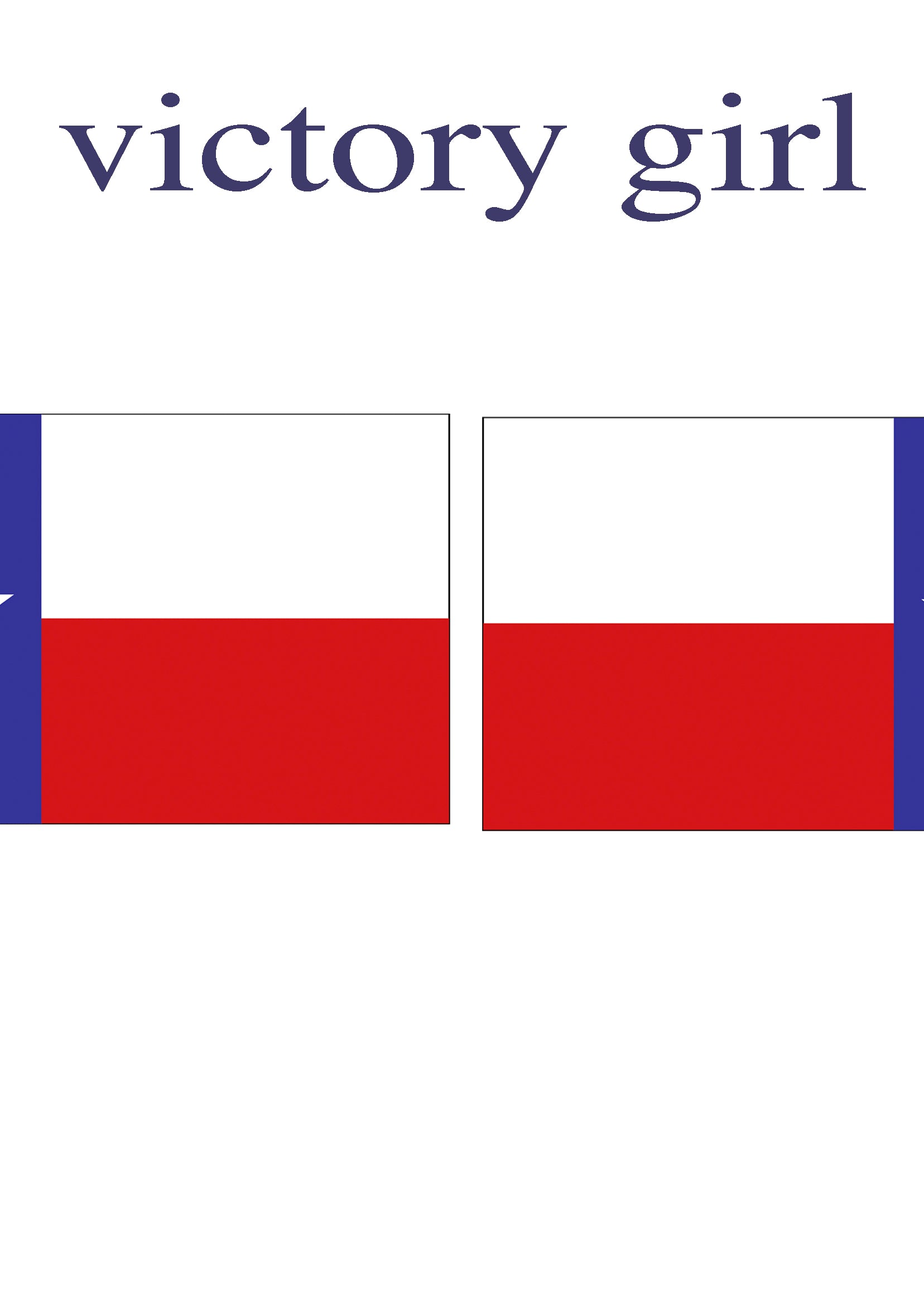 Texas State Flag Vinyl Decal Sticker