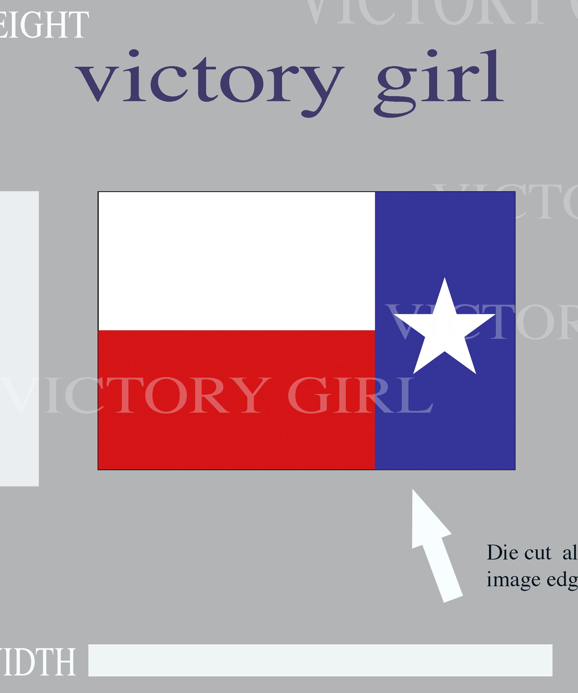 Texas State Flag Vinyl Decal Sticker