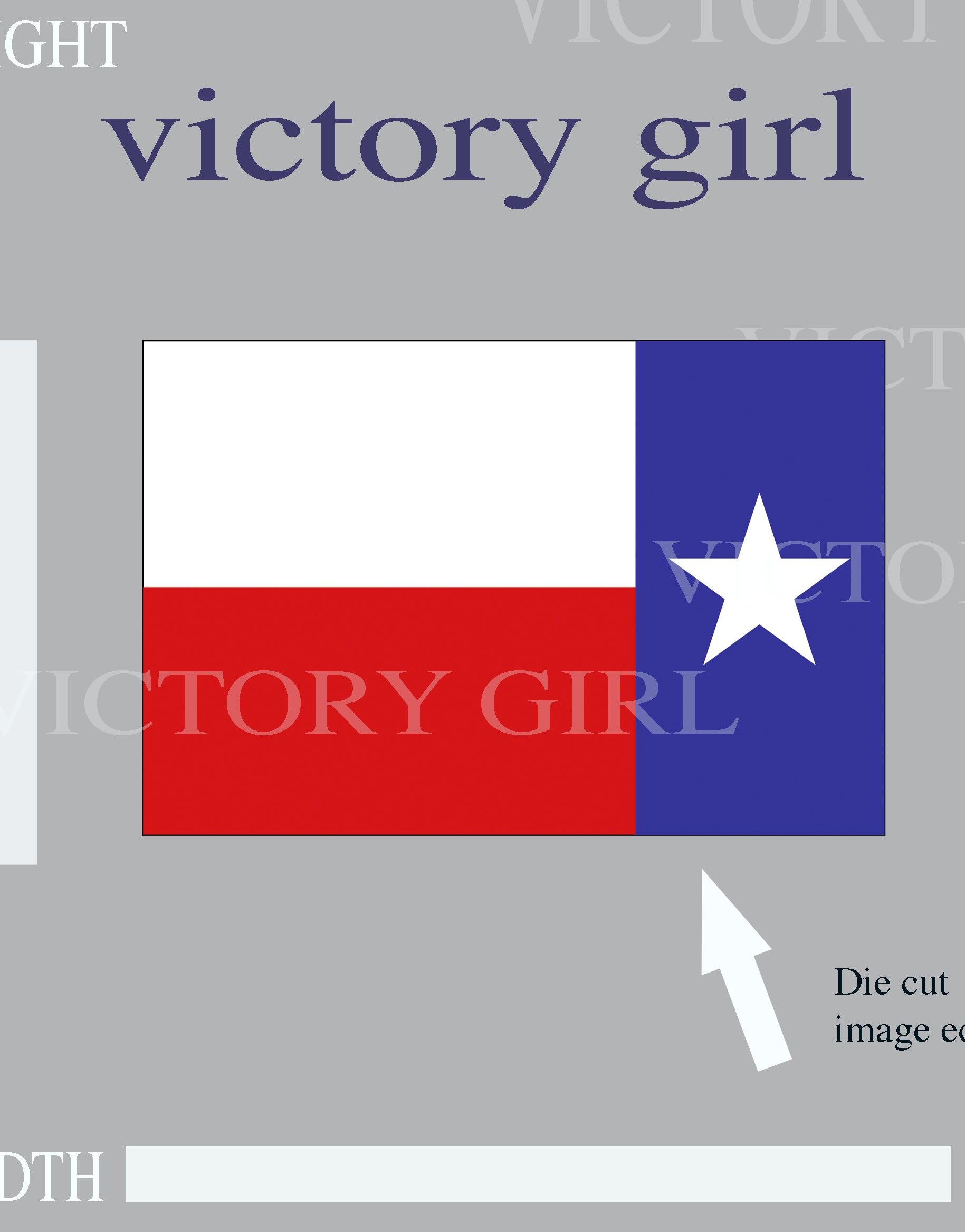 Texas State Flag Vinyl Decal Sticker