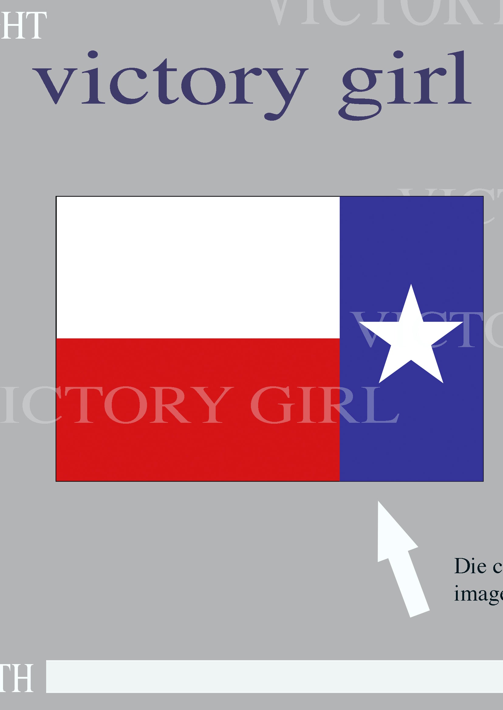 Texas State Flag Vinyl Decal Sticker
