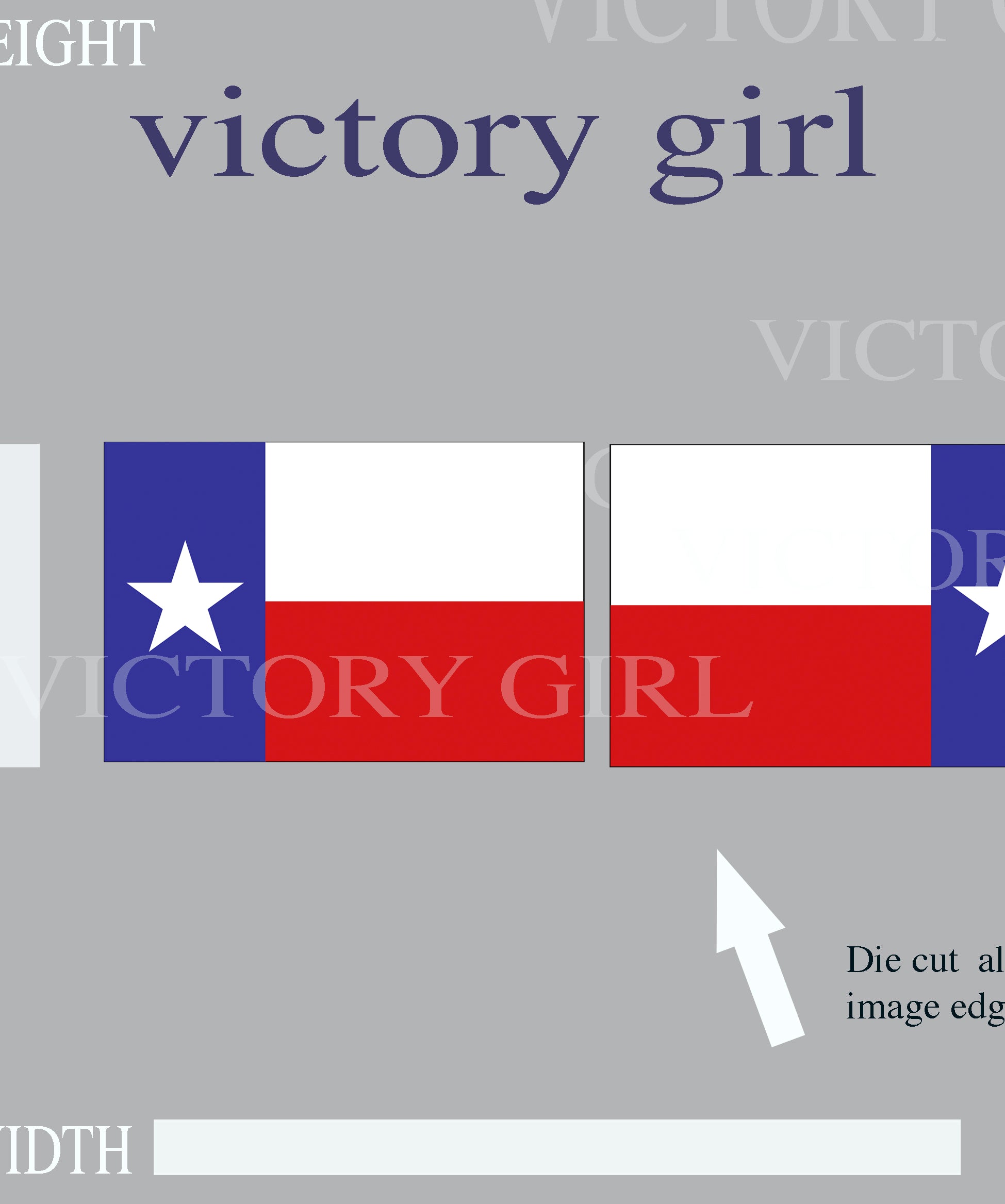 Texas State Flag Vinyl Decal Sticker