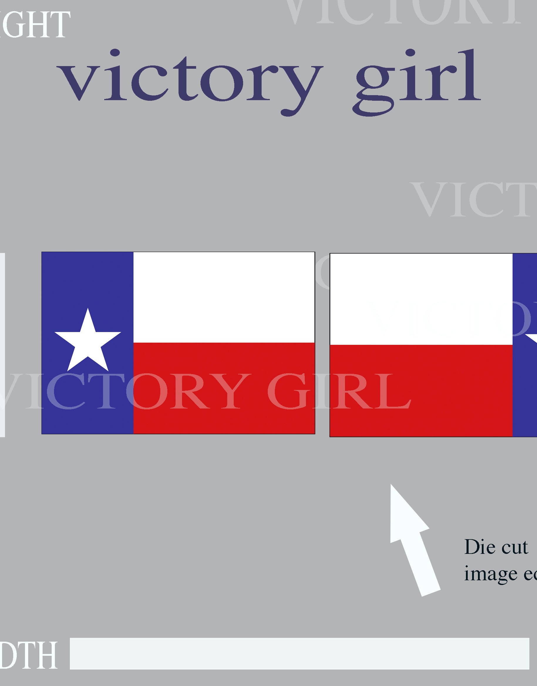 Texas State Flag Vinyl Decal Sticker