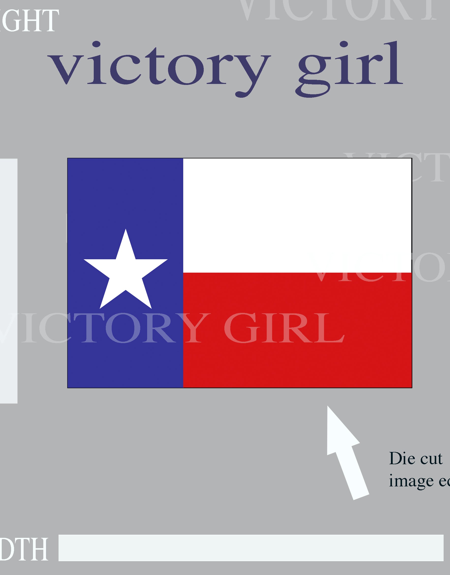 Texas State Flag Vinyl Decal Sticker