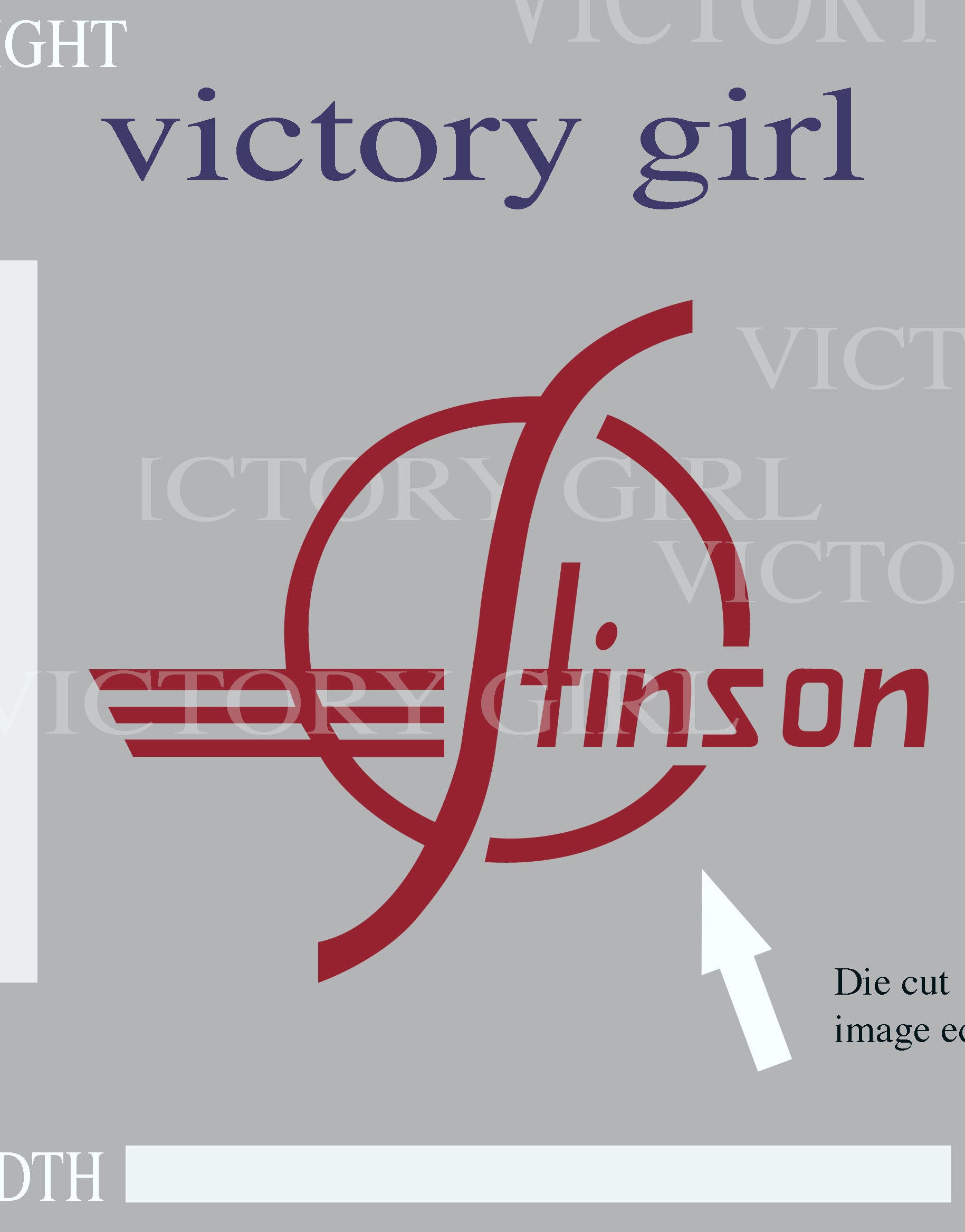 Vintage Stinson Aircraft Logo Vinyl Decal Sticker