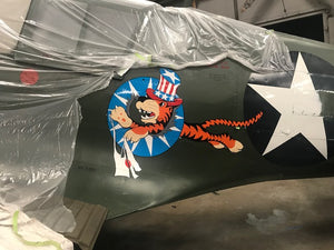 P-40 Kittyhawk  Back to Life