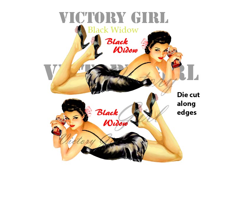Vintage pinup  aircraft nose art Black Widow