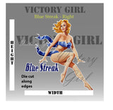 Blue Streak Nose Art Vinyl Decal Sticker