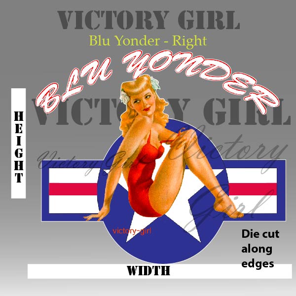 Blu Yonder with Stars n Bars Vinyl Decal Sticker