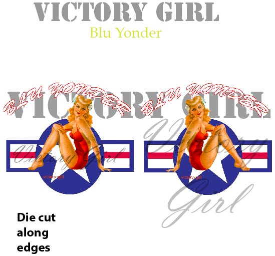 Blu Yonder with Stars n Bars Vinyl Decal Sticker