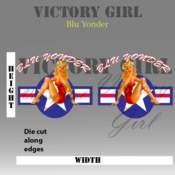 Blu Yonder with Stars n Bars Vinyl Decal Sticker