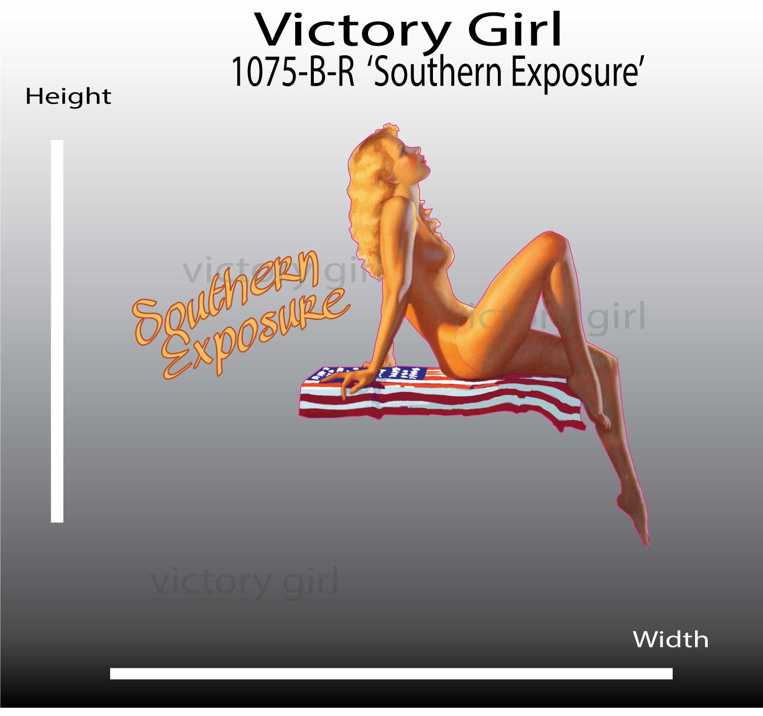 Southern Exposure Vinyl Decal Sticker