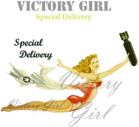Special Delivery Nose Art Vinyl Decal Sticker