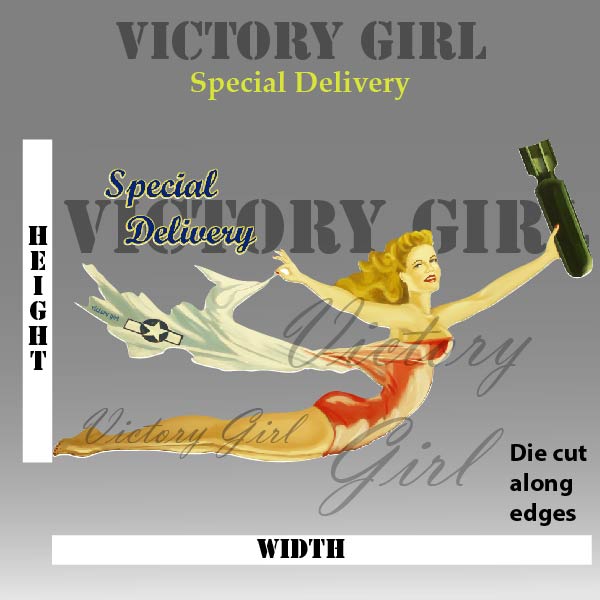 Special Delivery Nose Art Vinyl Decal Sticker