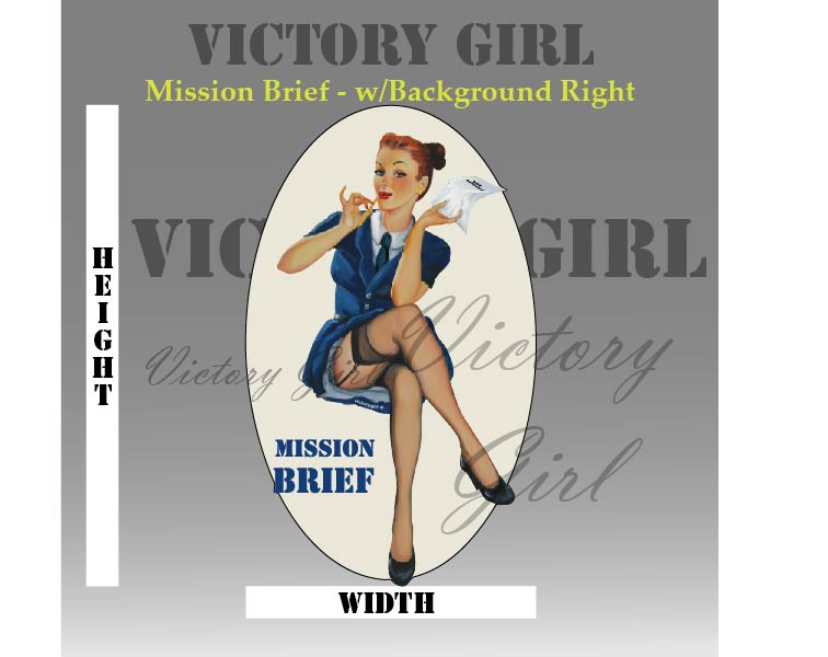Mission Brief - with background Vinyl Decal Sticker