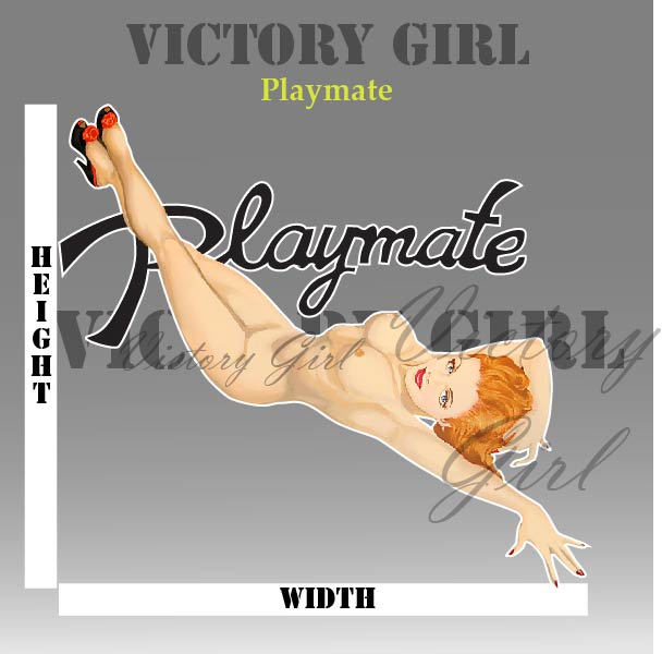 Playmate Nose Art Vinyl Decal Sticker