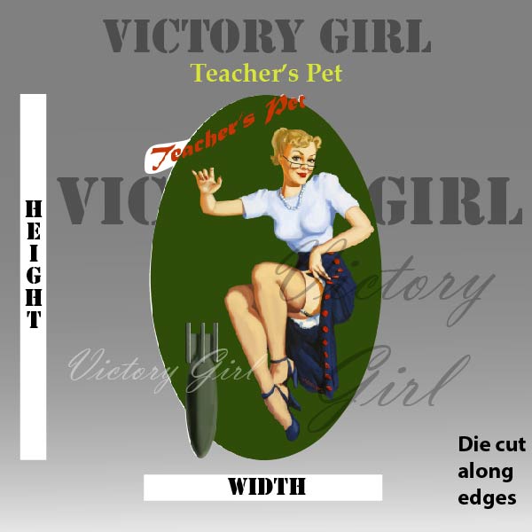 Teachers Pet Vinyl Decal Sticker