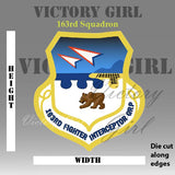 163rd Squadron Vinyl Decal Sticker