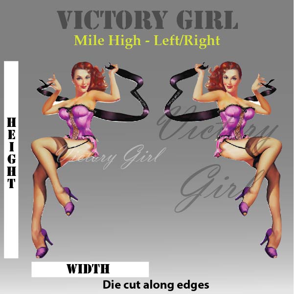 Mile High Nose Art Vinyl Decal Sticker