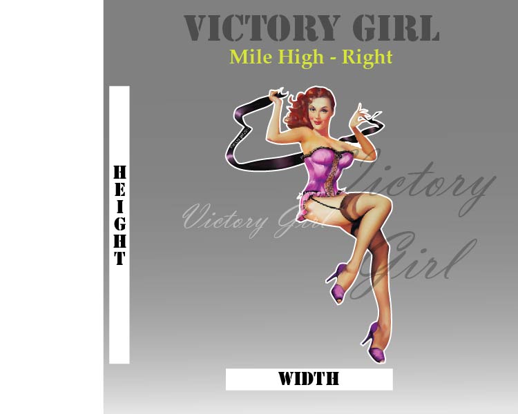 Mile High Nose Art Vinyl Decal Sticker