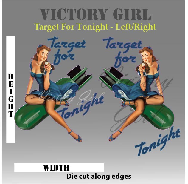 Target for Tonight Vinyl Decal Sticker