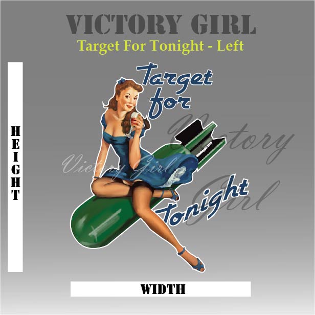 Target for Tonight Vinyl Decal Sticker