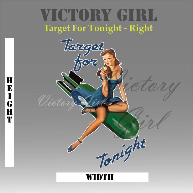 Target for Tonight Vinyl Decal Sticker