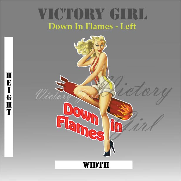 Down in Flames Vinyl Decal Sticker