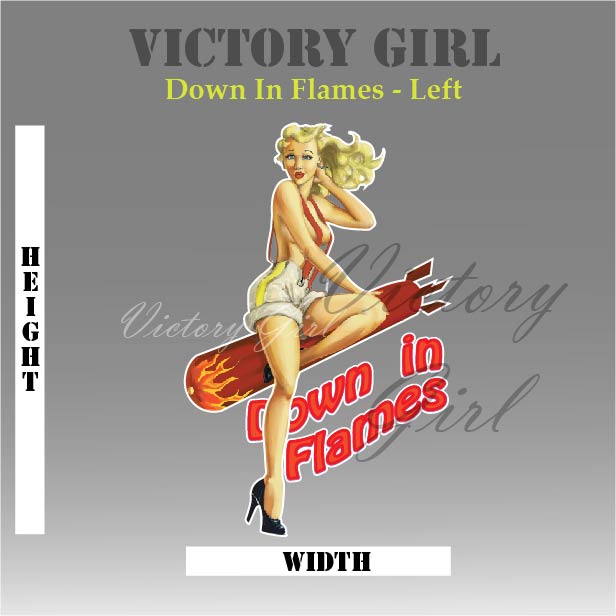Down in Flames Vinyl Decal Sticker