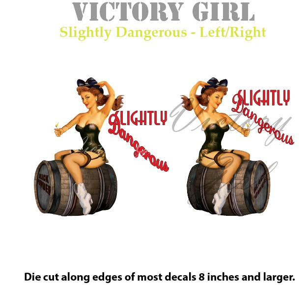 Slightly Dangerous Nose Art Vinyl Decal Sticker