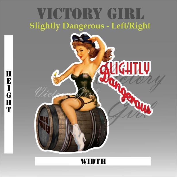 Slightly Dangerous Nose Art Vinyl Decal Sticker