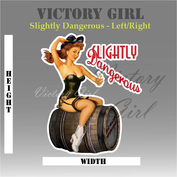 Slightly Dangerous Nose Art Vinyl Decal Sticker