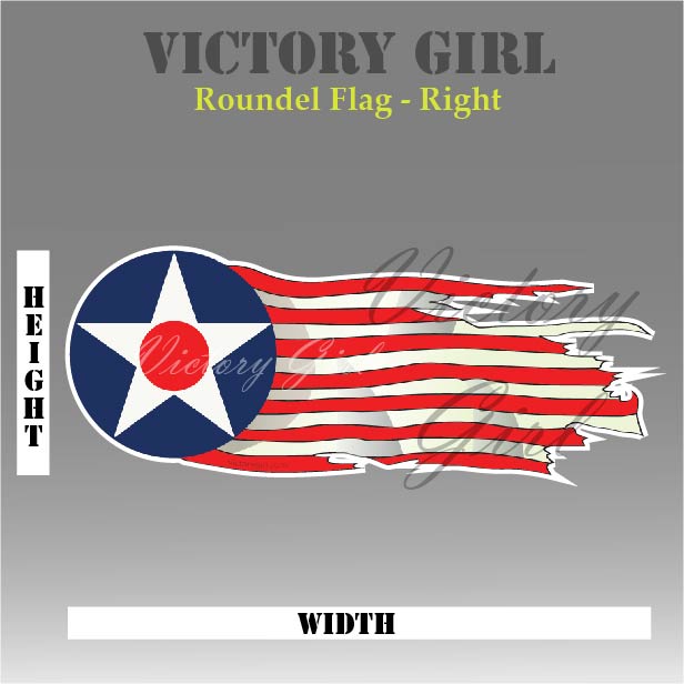 Roundel Flag Vinyl Decal Sticker