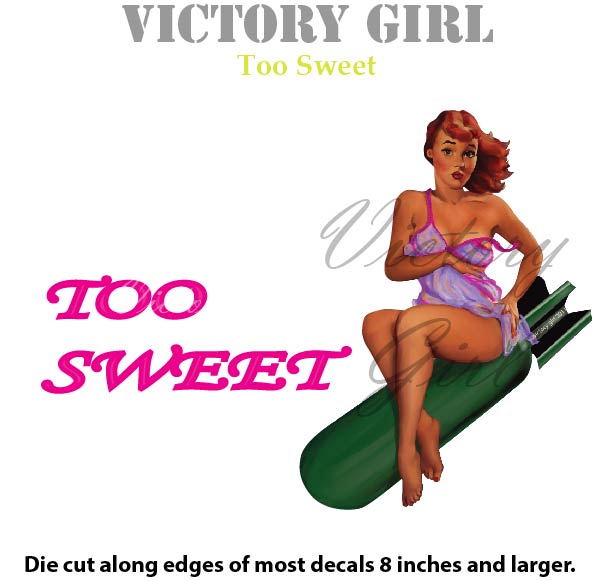 Too Sweet Vinyl Decal Sticker