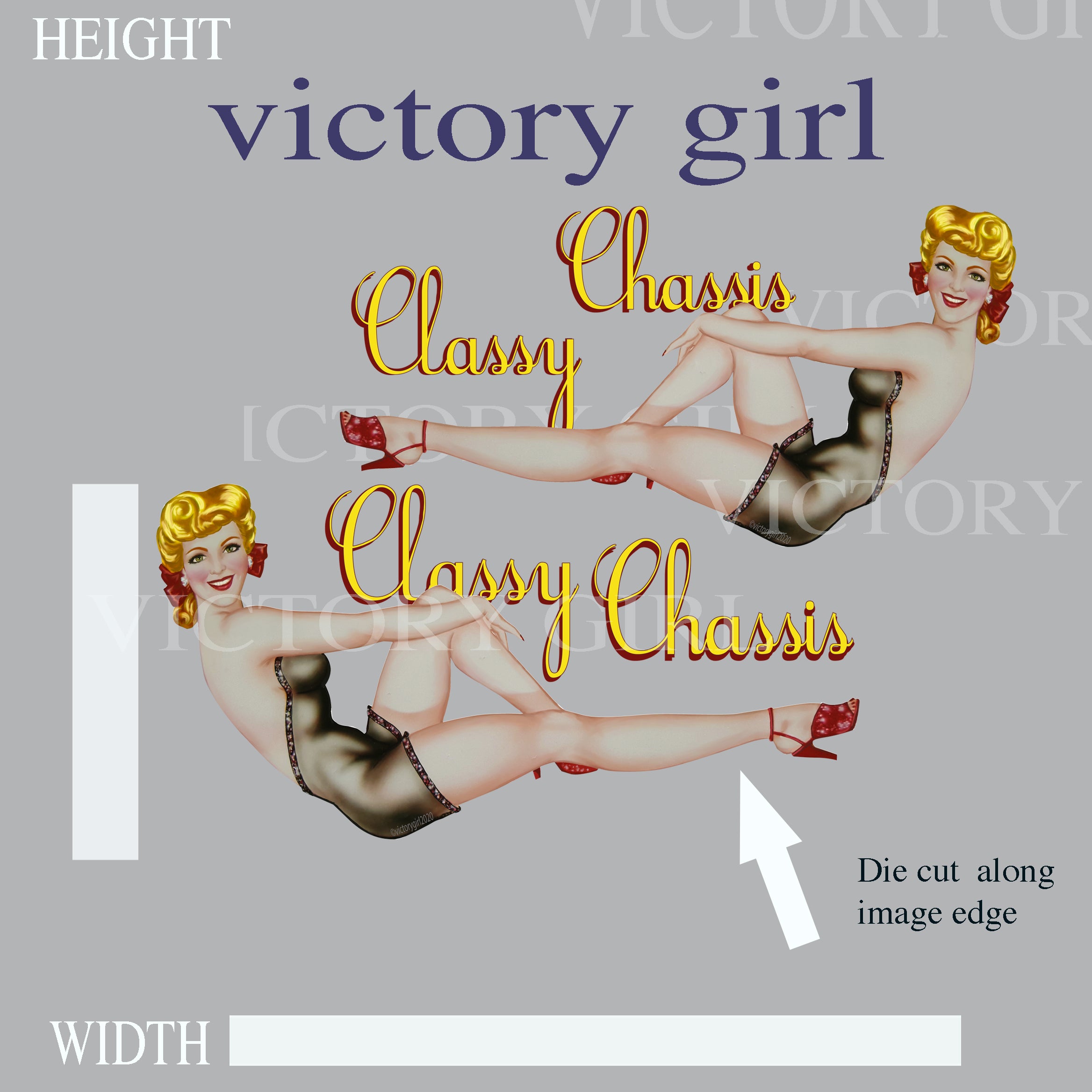 Classy Chassis LR Vinyl Decal Sticker