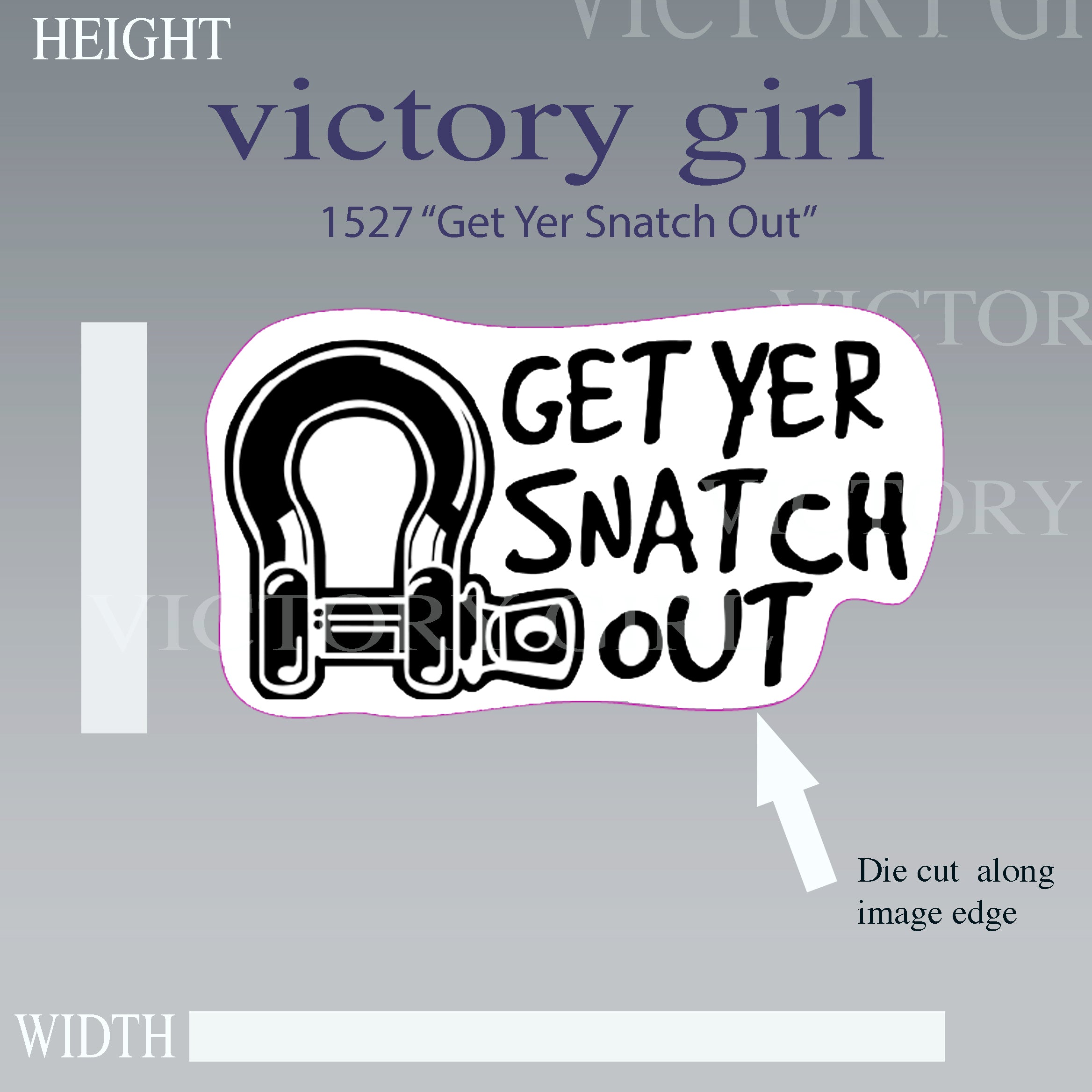 'Snatch Out' Vinyl Decal Sticker